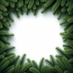 Pine Border Frame White Background Copy Space Area