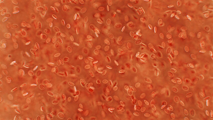 Human blood under a microscope. You can see erythrocytes - red blood cells. The red color is given to them by the ferrous atom of iron, which is able to bind oxygen.
