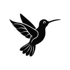 Cute Hummingbird Vector Illustration

