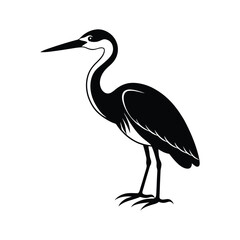 Cute Heron Vector Illustration - Elegant Bird Design

