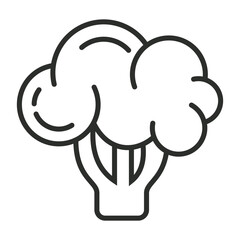 Broccoli icon, Healthy food, Fruit and vegetable symbol outline icon, editable vector illustration and transparent graphic element. Isolated on white background