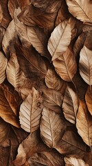 Organic flat lay of autumn leaves nature scene still life outdoors