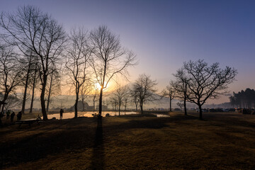 silhouette tree at morning view and Mt.Fuji in the winter at Fumotoppara Campground, japan