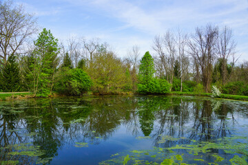 Beautiful pond, springtime
