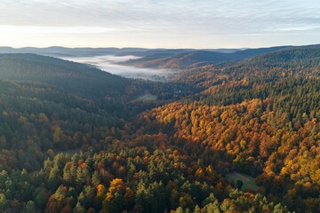 Beautiful Autumn Landscape with Mountains in the Black Forest, Germany. AI generated illustration