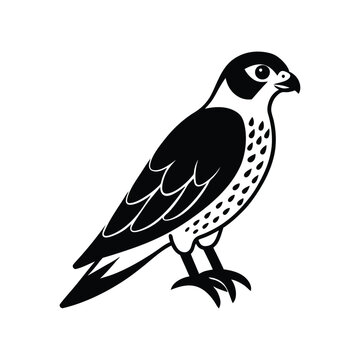 black and white falcon bird portrait clip art preview
