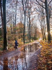 Obraz premium woman on bicycle on very wet forest path in dutch autumn near utrecht