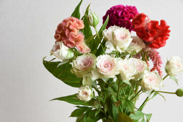 薔薇とケイトウ