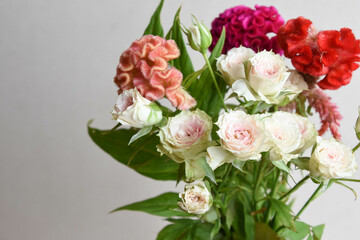 薔薇とケイトウ