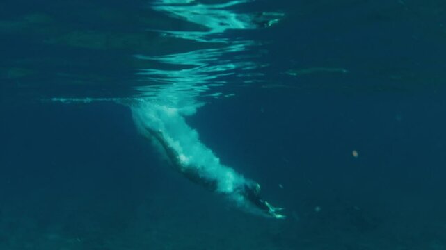 Man jumps into the water from a boat