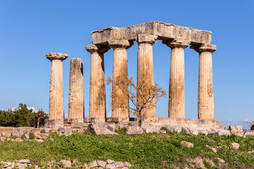 Ruins of the ancient Corinth Temple of Apollo, with weathered stone columns and a small tree in front, set against a bright blue sky. Corinth, Greece