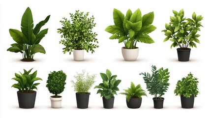 Fototapeta premium A collection of vibrant indoor plants in various pots, perfect for enhancing interior spaces, Ideal for use in home decor, gardening blogs, or as visual content for nurseries and plant shops,