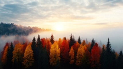 Obraz premium Aerial View of a Vibrant Autumn Forest Displaying Fiery Red and Orange Foliage Surrounded by Misty Landscape at Sunrise