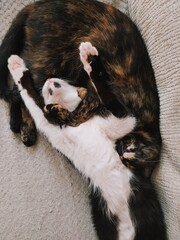 Processed with VSCO with we preset