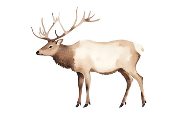 Deer with large antlers watercolor illustration isolated on white background	