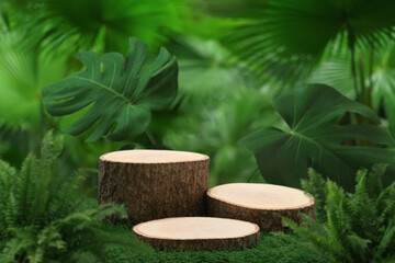 Wood table top podium floor in outdoors tropical garden forest blurred green leaf plant nature background.Natural product placement pedestal stand display,jungle paradise concept.