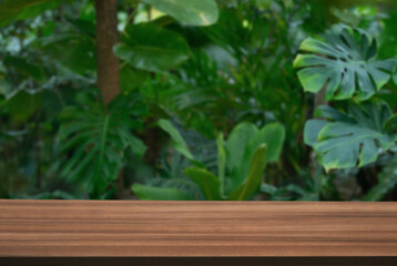Wood table top podium floor in outdoors tropical garden forest blurred green leaf plant nature...