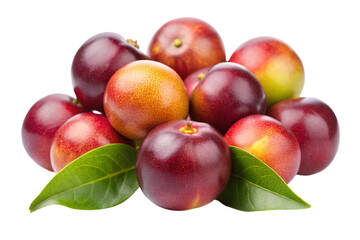Camu Camu Boosts Your Daily Health.png