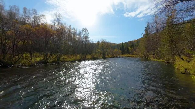Aerial photography with a drone flying over a river in a national park, glare from the sun
