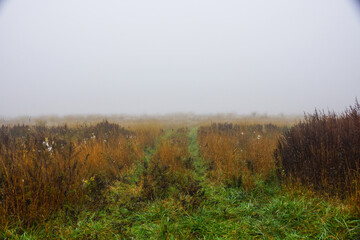 Field, Wateremill, NY, foggy day