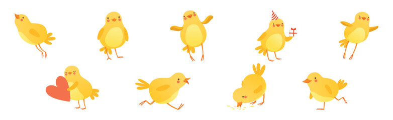Funny Yellow Chicken Engaged in Different Activity Vector Set