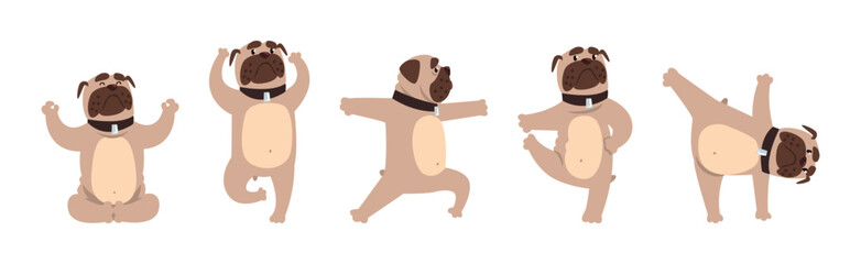 Pug Dog Stand in Yoga Pose and Asana Vector Set