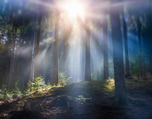 Fototapeta premium 深い森や山奥の静寂の中で光が広がり、内面的な宇宙を象徴する 無限の色彩が自然と融合し、自己探求と自然の調和を映し出す背景イメージ