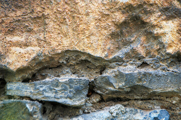 lichen on rock wall