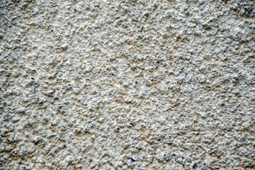 texture of plaster
