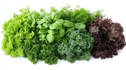 Fototapeta premium Fresh and Vibrant Assortment of Green Leafy Vegetables Displayed on a White Background Perfect for Healthy Eating and Culinary Use in Various Dishes and Salads