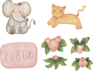 Watercolour illustration set of announcement "It's a Girl" in pink colors, Isolated clipart elements for design and decor. Watercolor elements for baby shower. Newborn party 