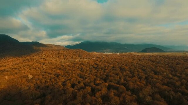 Aerial view of an autumn forest in Gabala, Azerbaijan, with stunning mountain scenery in the background. Perfect for seasonal or travel content