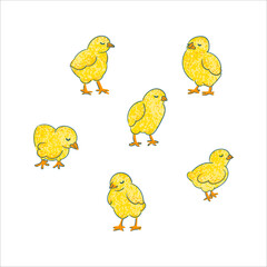 Chicken Colorful Illustration