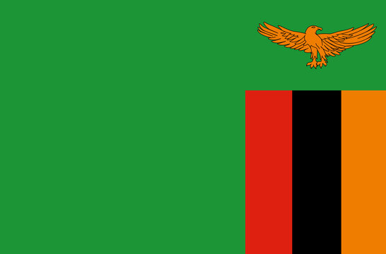 Zambia Flag PNG Transparent | High-Resolution National Symbol