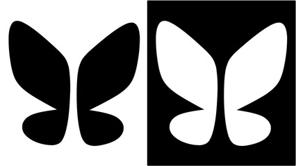 black and white butterfly