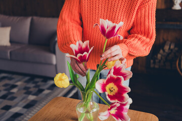 Cropped portrait of young girl put flowers vase wear orange sweater modern loft interior flat...