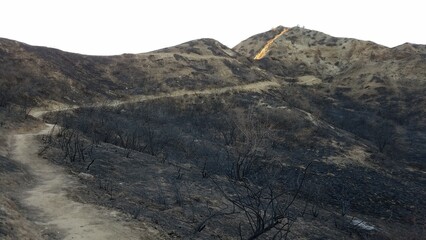 Trail Through Burnt Area of Towsley Canyon Park, near Santa Clarita, CA