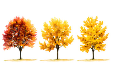 Yellow trees isolated on transparent background 
