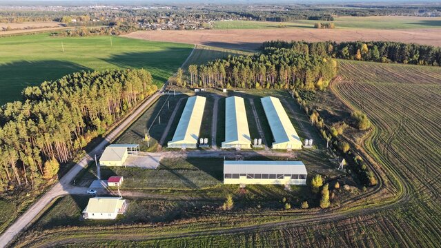 An agricultural enterprise, a farm for raising livestock and poultry (turkeys, chickens) standing in the middle of fields and forests in Europe, America, Australia.