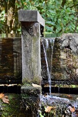 Water overflowing from wooden trough, with greenery behind.  Great Smoky Mountains, United States.