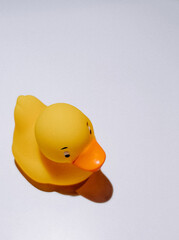 yellow rubber duck kid’s toy