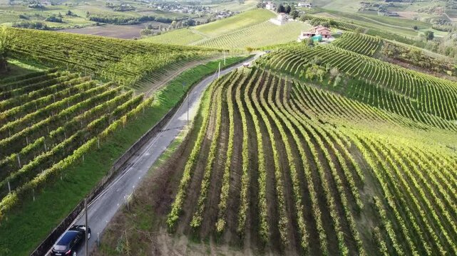 Monferrato vineyards from the drone - Casalotto location - Mombaruzzo - Asti - Piedmont - Italy