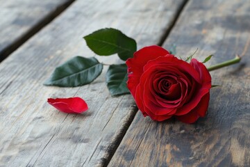 Single Red Rose and Petal on Wooden Surface