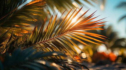A palm tree with a leaf that is green and brown