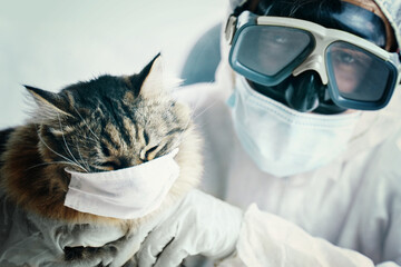 A cat and a person, both in masks and goggles, share a funny safety moment, stressing health protection importance