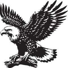 Obraz premium black and white vector eagle