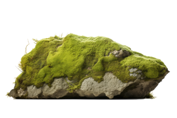 Moss covered rock on transparent background