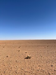 sand dunes in park
Desert 
Sahara 
Sand 
Mars 
