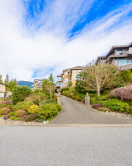 Neighbourhood of luxury houses in summer with street road, big trees and nice landscape in Vancouver, Canada. Blue sky. Day time on August 2024.