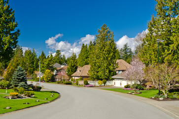 Neighbourhood of luxury houses in summer with street road, big trees and nice landscape in...